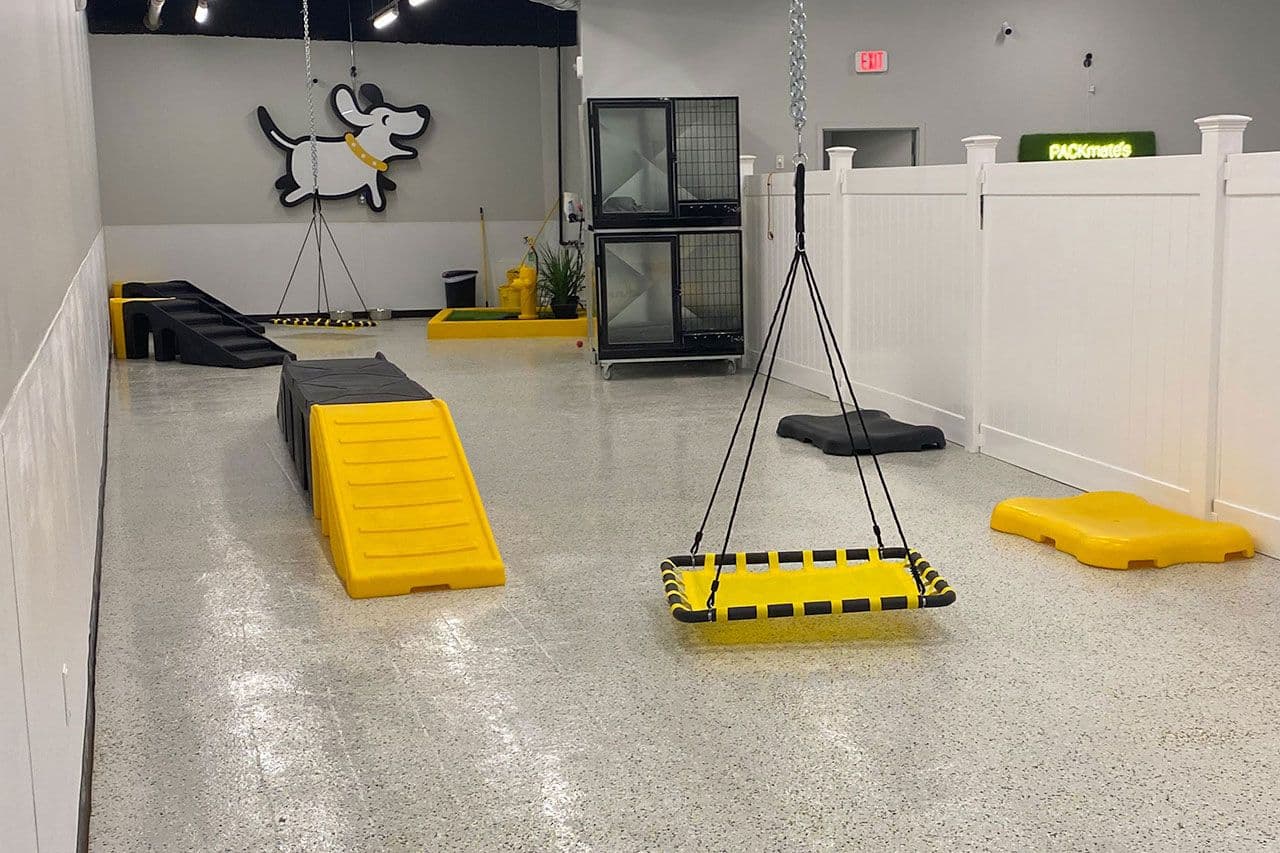picture of dog daycare room inside Playful Pack