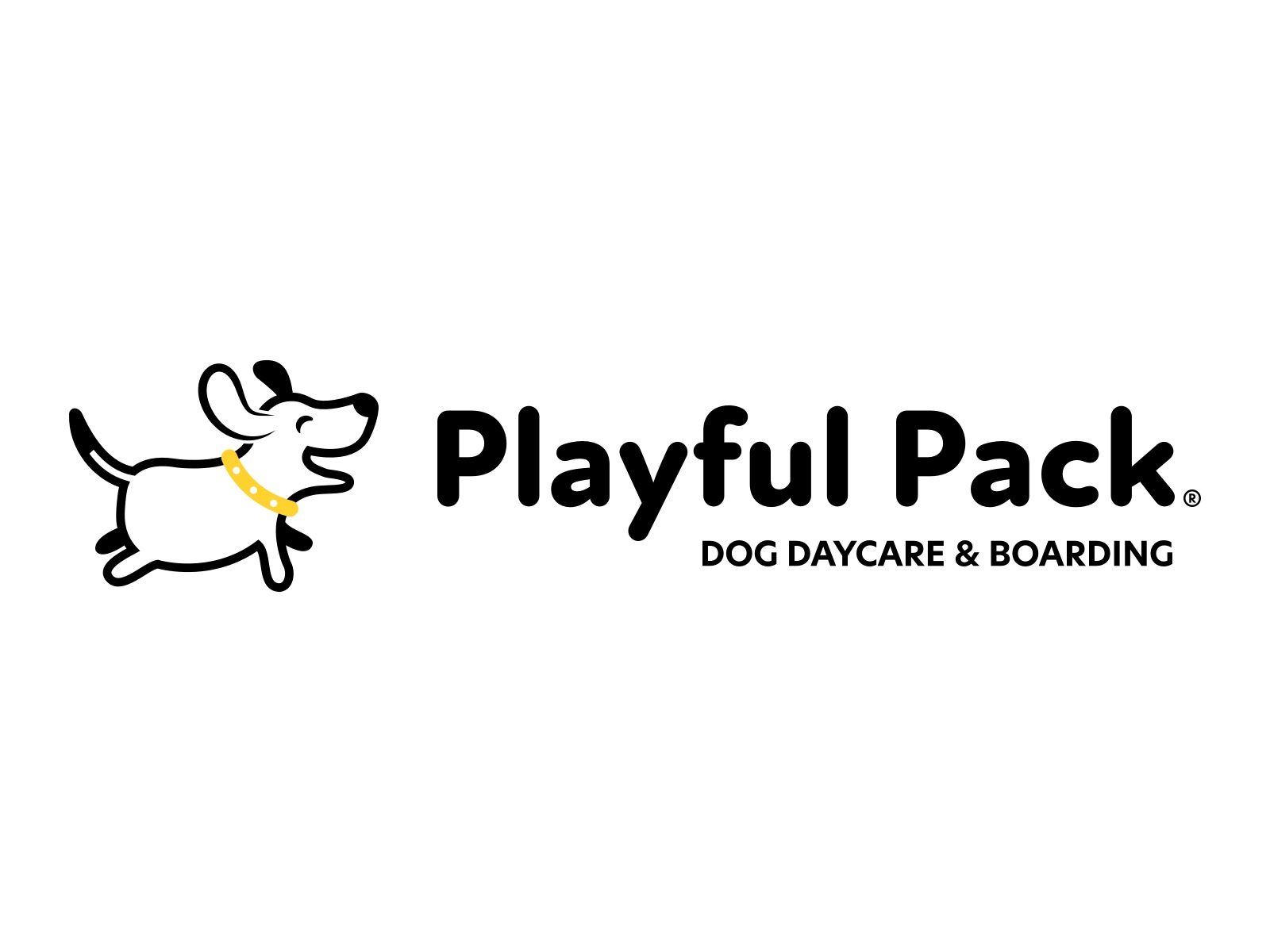 dog-daycare-and-boarding-in-rockville-md-playful-pack